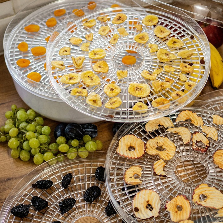 Suszarka spożywcza do grzybów i owoców