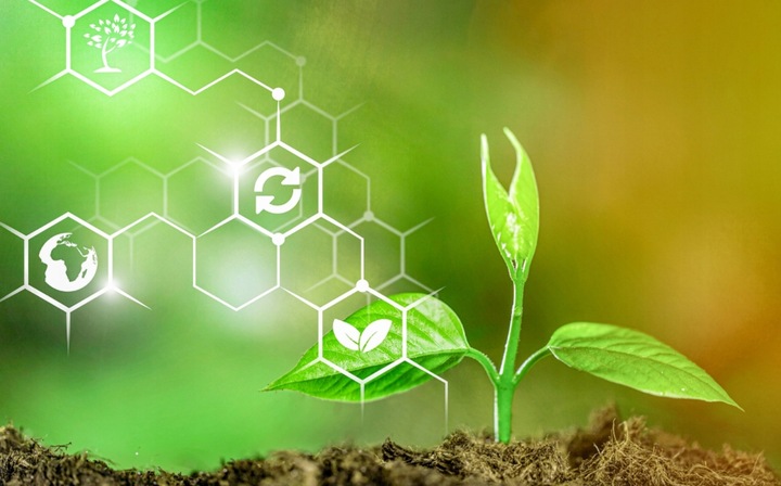 ADVANCED NUTRIENTS SENSIZYM 250ML ENZYMY