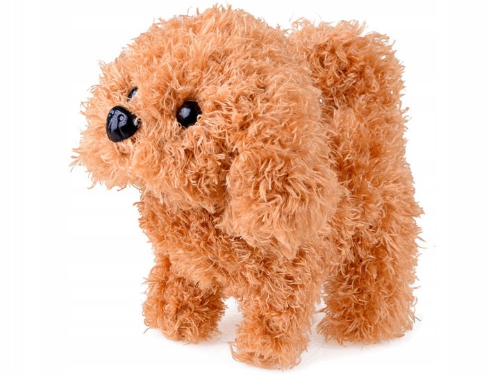 Interaktywny Piesek Zestaw Mały Weterynarz Lekarz