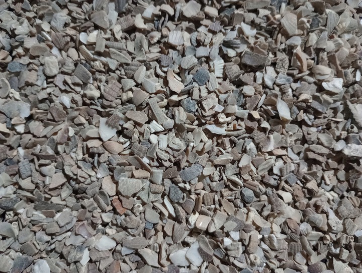 Muszle morskie dla drobiu kur niosek 10 kg mocna skorupka