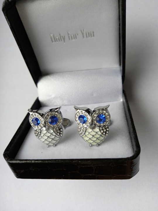 Srebrne spinki do mankietów koszuli Ptak Sowa