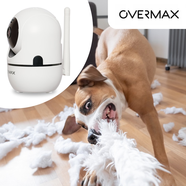 KAMERA DLA PSA KOTA DO OBSERWACJI MONITORING DOMU APLIKACJA Karta SD GRATIS