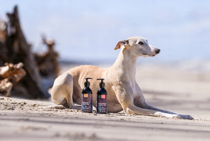 POKUSA Cod Liver Oil Tran z wątroby dorsza 500ml