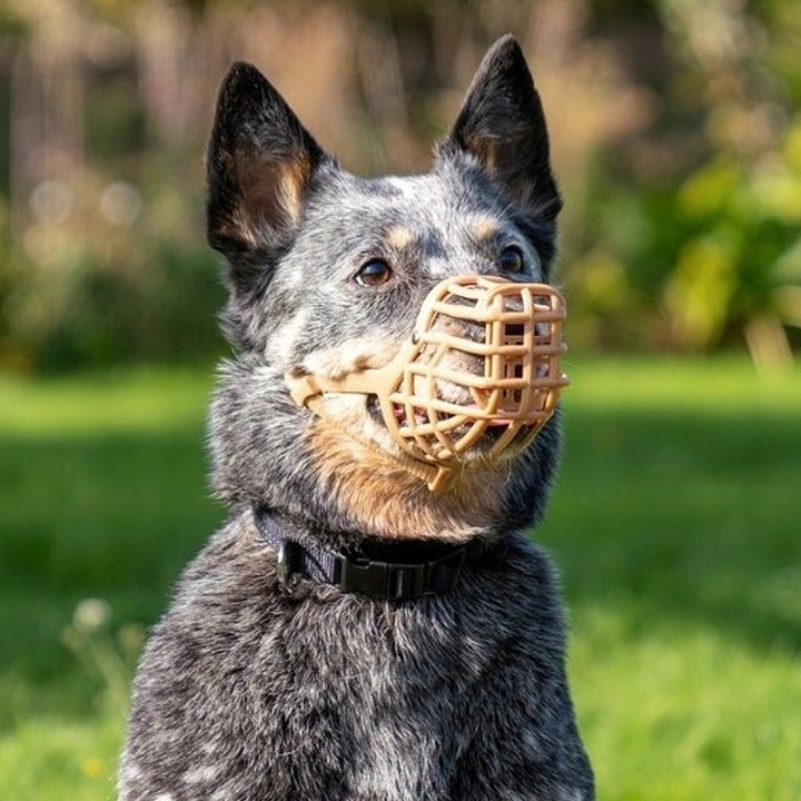 BASKERVILLE CLASSIC 6 KAGANIEC FIZJOLOGICZNY dla Psa z OSŁONĄ M/24/7cm