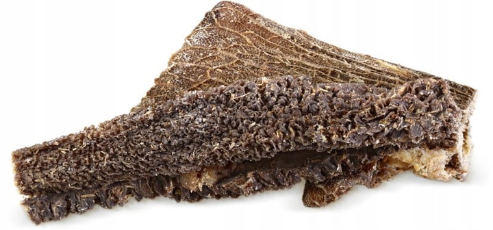 ŻWACZE BARANIE/JAGNIĘCE - 500G | 5-10cm 40-50SZT./op. PRZYSMAK DLA PSA