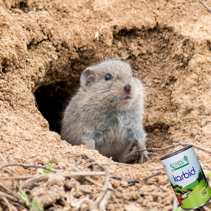 KARBID NA KRETY I NORNICE SUMIN GRANULOWANY ŚRODEK ODSTRASZA ZAPACHEM 1KG