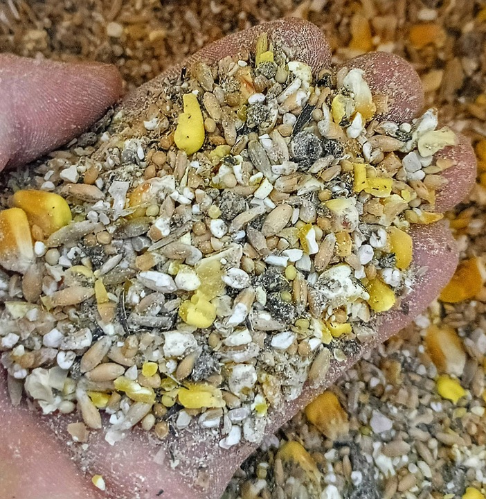 PASZA DLA KUR NIOSEK 25KG NATURALNA KARMA MIESZANKA BEZ GMO SYPKA ZIARNO