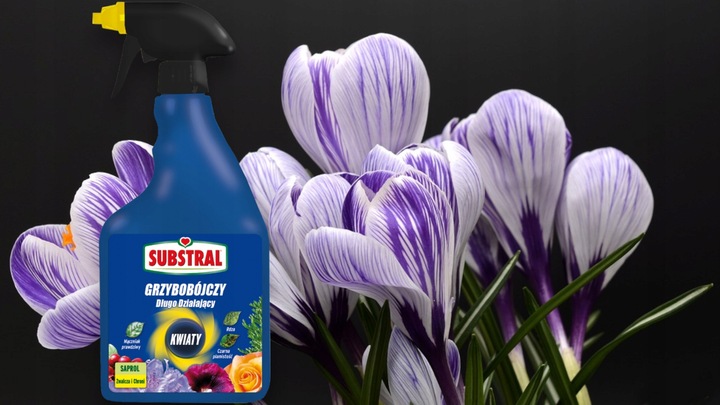 SAPROL GRZYBOBÓJCZY środek KWIATY: ZWALCZA CHRONI