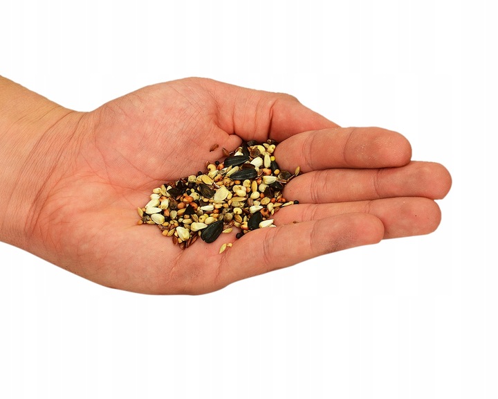 TRIXIE Karmnik karmidło pojemnik na karmę ptaków zimujących papugi 1 L 48cm