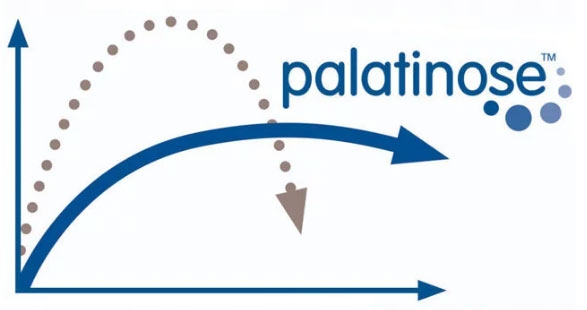 IZOTONIK W PROSZKU DLA BIEGACZY KOLARZY Najlepszy w 2024r. Amix IsoLyte