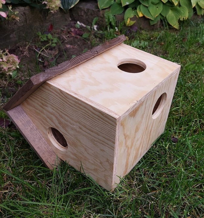 Budka domek dla wiewiórek