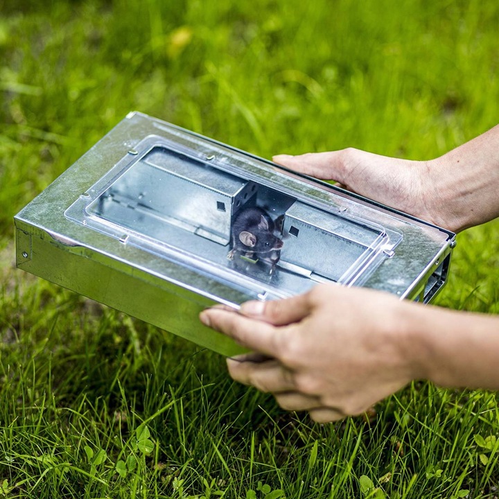 Pułapka Na Myszy Szczury Gryzonie Łapka Żywołapka Myszołapka Humanitarna