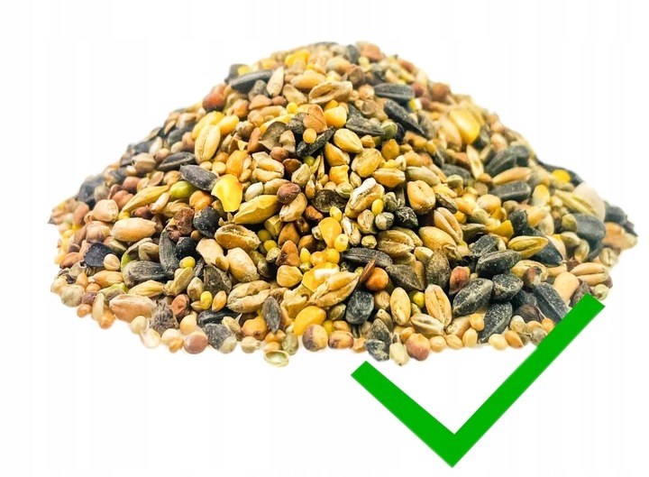 Karmnik Dla Ptaków Duży XXL Opalany Mocny Solidny Budka + Haki + Karma