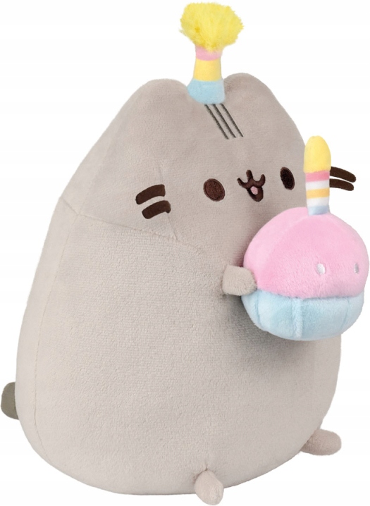 Pusheen z tortem