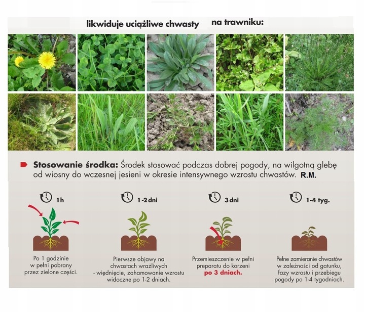 Starane Trawniki na Chwasty w Trawnikach, Boiskach NIE NISZCZY TRAWY 100ml