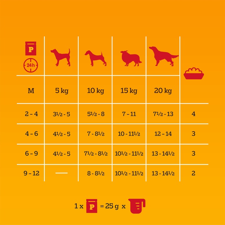 PEDIGREE JUNIOR WYBÓR SMAKÓW Z RYŻEM SASZETKI 40X100G W GALARETCE