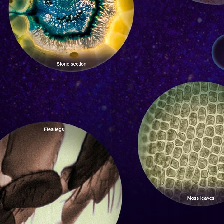 Handheld Mały Przenośny Mikroskop 60x - 120x