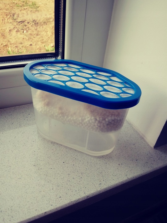 Pochłaniacz wilgoci, osuszacz stojący , zestaw 7 sztuk