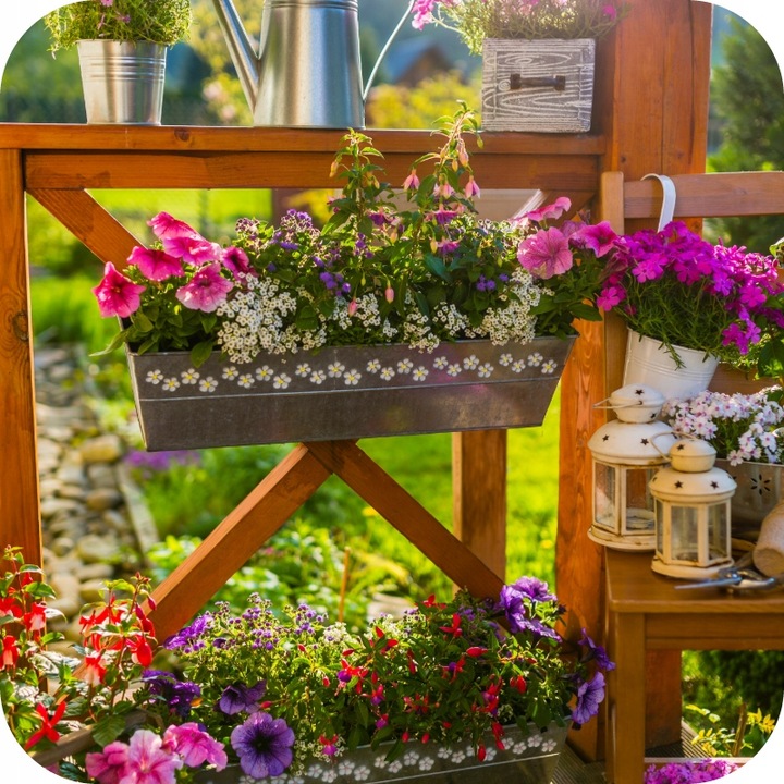 GRANULAT NA ŚLIMAKI 685g Substral Naturen Ślimakol EKO BIO + LIMA ORO 200G