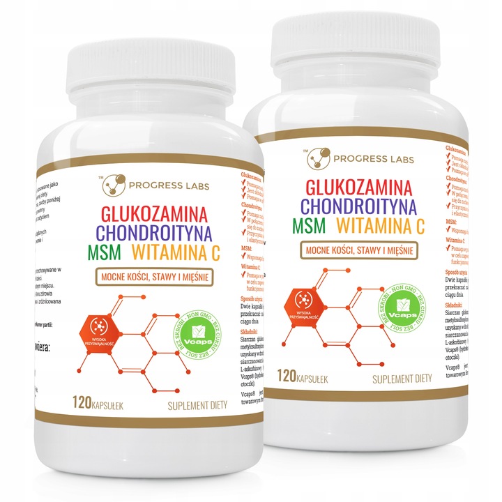 GLUKOZAMINA CHONDROITYNA MSM WITAMINA C STAWY 240k