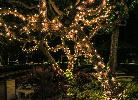 SOPLE ZEWNĘTRZNE 300 LED 15m. TIMER FLASH ŚWIĄTECZNE CHOINKOWE LAMPKI