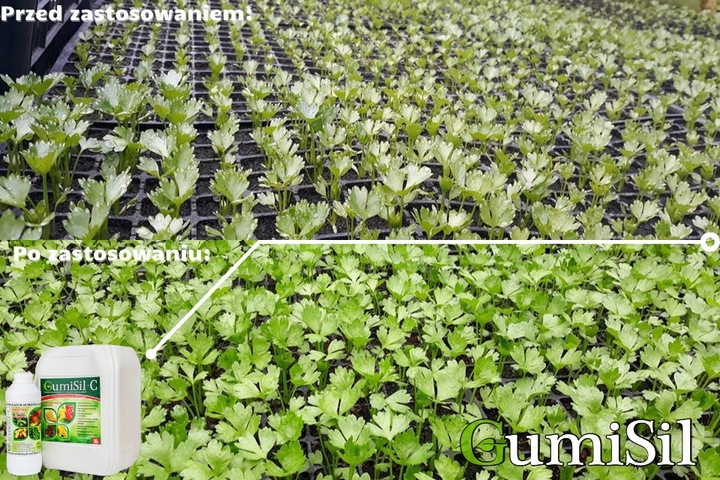 STYMULATOR DO WARZYW GUMISIL TRICHODERMA ROZSADY! EKO NAWÓZ BIOLOGICZNY TOP