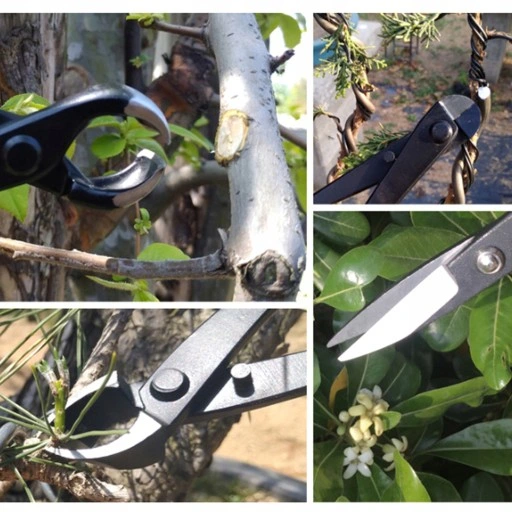 ZESTAW NARZĘDZI DO BONSAI