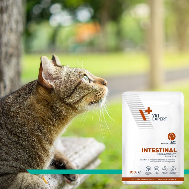 Mokra karma dla kota kurczak indyk VET EXPERT INTESTINAL12x saszetka 100g
