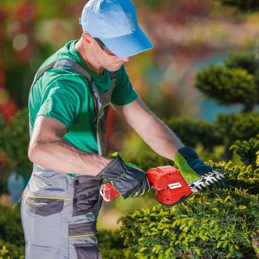Akumulatorowe nożyce do trawy i krzewów 3,6V, 2w1