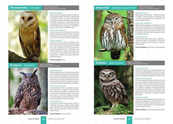 ATLAS PTAKÓW PTAKI POLSKI 250 GATUNKÓW TWARDA OPRAWA KSIĄŻKA NA PREZENT