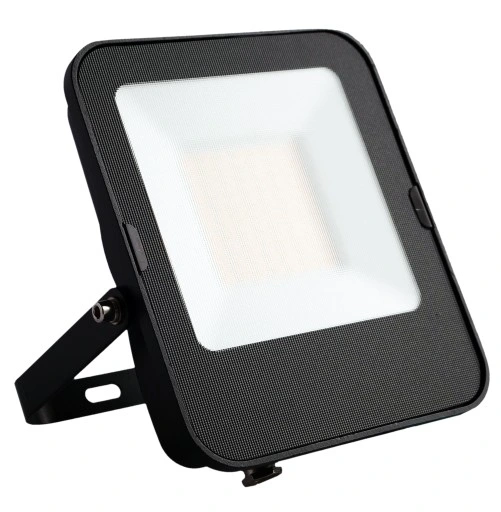 Naświetlacz Halogen LED 30W 2400lm 6500K Premium