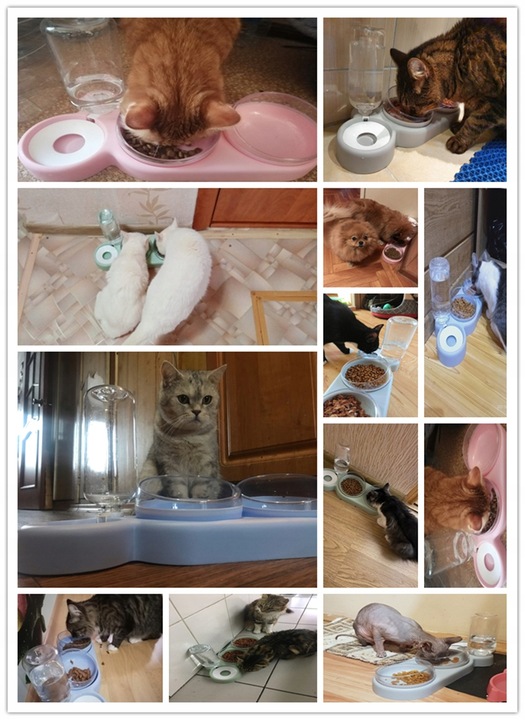 MISKI DLA KOTA ZWIERZĄT Z AUTOMATYCZNYM DOZOWNIKIEM PODAJNIKIEM WODY 500ml