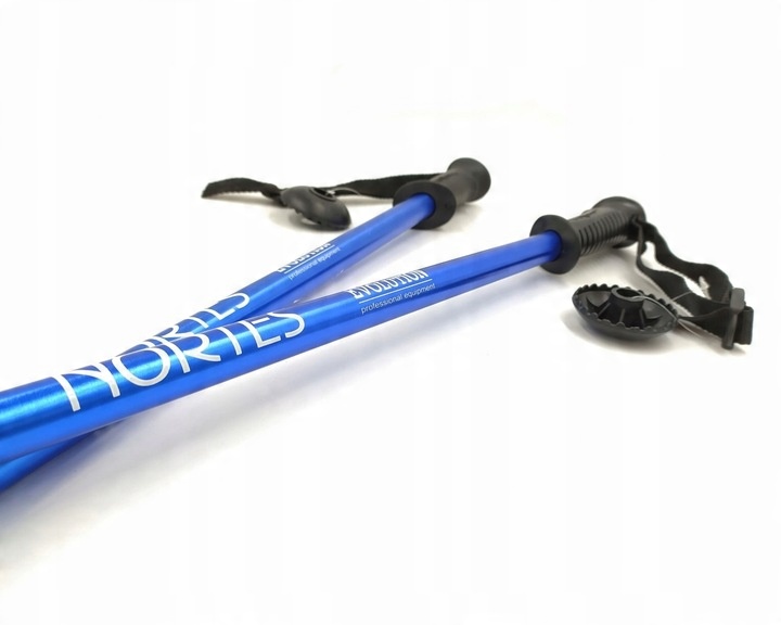 KIJE KIJKI TREKKINGOWE NORDIC EVOLUTION NORTES