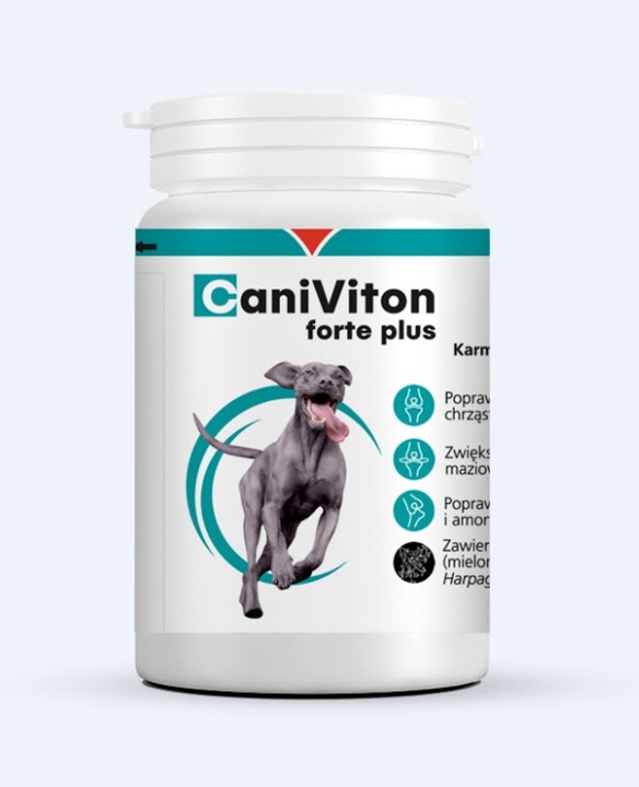 Caniviton Forte Plus 90 tab.