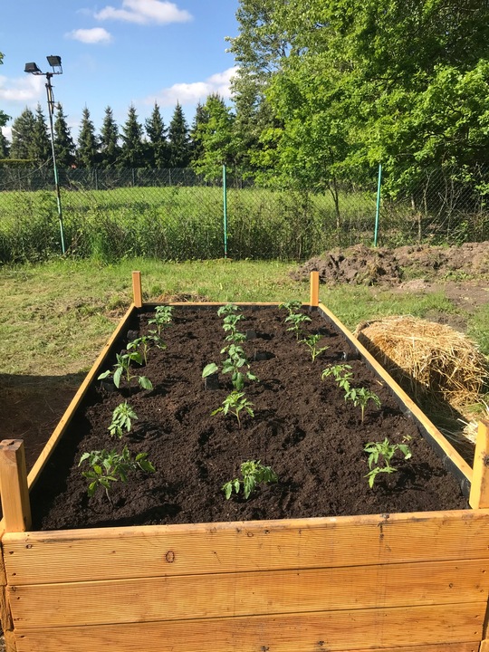 Grządka podwyższona GP12, 200x100x27, modrzew, śruby