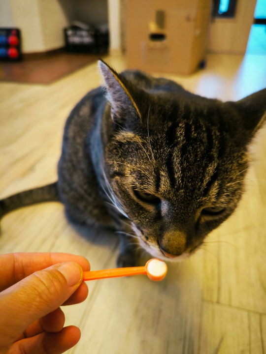 VITAR Veterinae GasterON SYMBIO - probiotyki i prebiotyki - aż 100 dawek