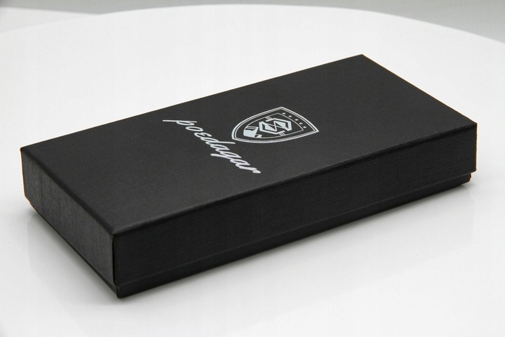 SREBRNY ZEGAREK MĘSKI NA BRANSOLECIE POEDAGAR CHRONOGRAF PUDEŁKO DATOWNIK