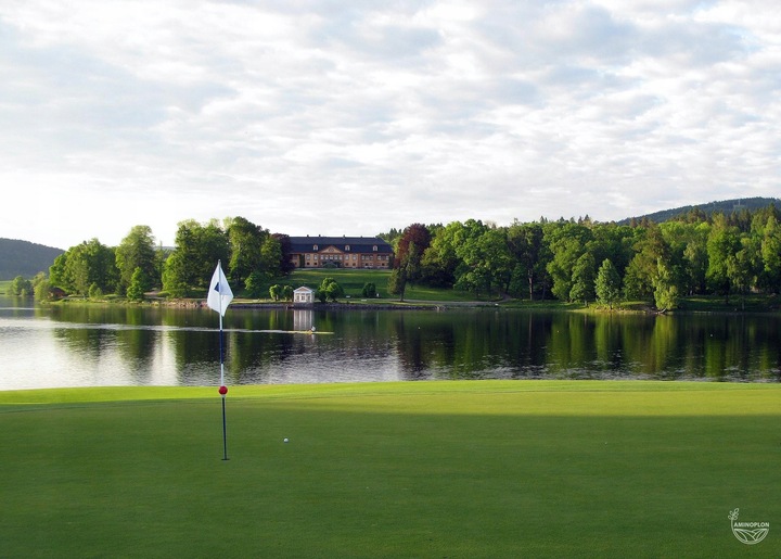 Starane Trawniki na Chwasty w Trawnikach, Boiskach NIE NISZCZY TRAWY 100ml