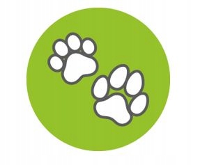 DROŻDŻE PIWNE dla psów, kotów i koni TIERLIEB, sierść, skóra, 600 g