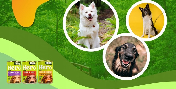 Mokra karma dla psa Hero MIX SMAKÓW kawałki w galaretce 24 x 400g 9,6 kg