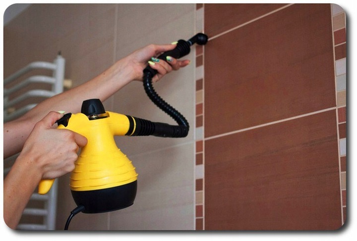 PAROWNICA na PLUSKWY Myjka Parowa Czyścik Ciśnieniowy 1050W 115 stopni