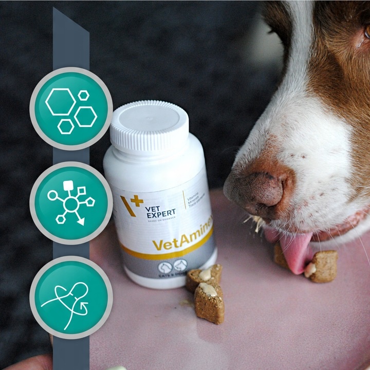 Preparat dla psów i kotów witaminy minerał Vet Expert Vetaminex 60 kapsułek