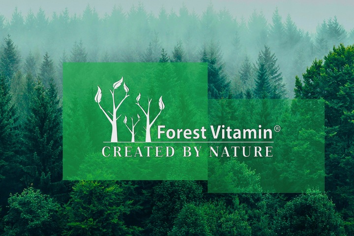 FOREST WITAMINA K2 MK-7 500mcg 100 tab NATURALNA