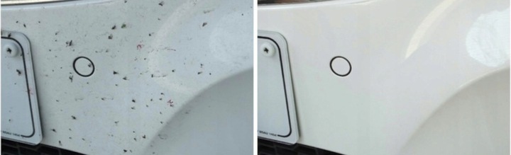 ADBL Beetle Juice Squeezer - Usuwanie Owadów z Lakieru Samochodowego 1L