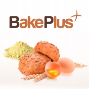 Białko w proszku - Albumina a'1kg