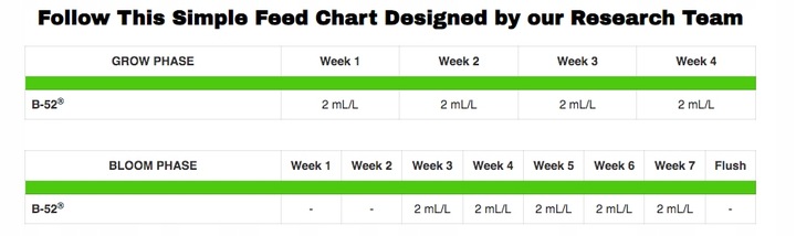 Advanced Nutrients B-52 250 ml mieszanka 6