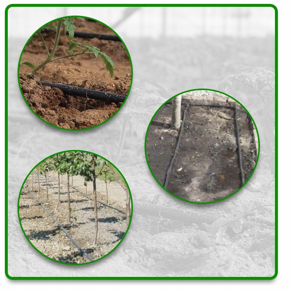 LINIA KROPLUJĄCA NAWADNIANIE KROPELKOWE 50m + 56 elementów Wąż pocący