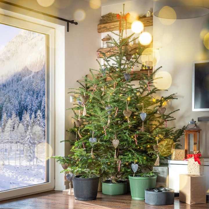 STOJAK POD CHOINKĘ CHOINKI POJEMNIK CHOINKOWY 5 L NA DRZEWKO 1,5 m CZARNY