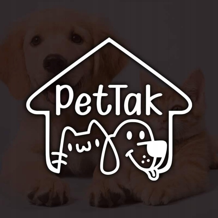 SMYCZ AUTOMATYCZNA DLA PSA TAŚMA Z BLOKADĄ PETTAK MOCNA ZWIJANA 50KG 8M