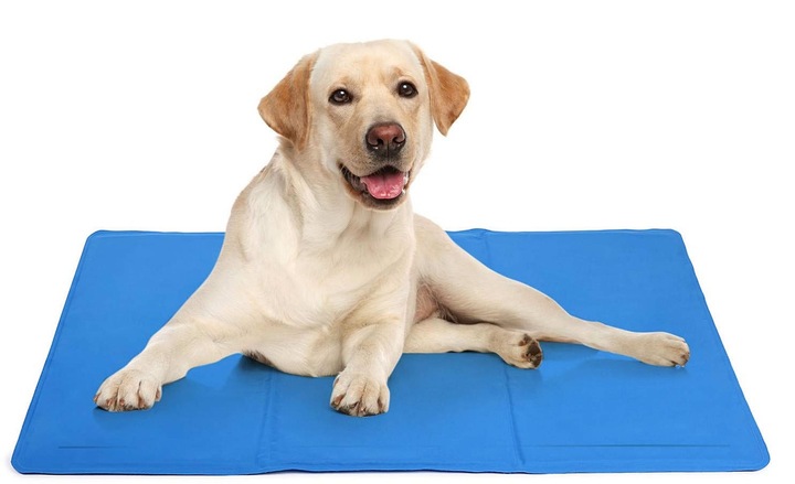 MATA CHŁODZĄCA DLA PSA DUŻA XXL 110x70cm żelowa legowisko PREMIUM GRUBA 4kg